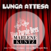 Lunga attesa